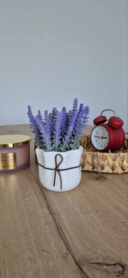 Dekorativno cvijeće - lavanda