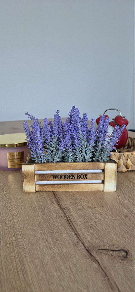 Dekorativno cvijeće - lavanda