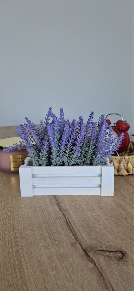 Dekorativno cvijeće - lavanda